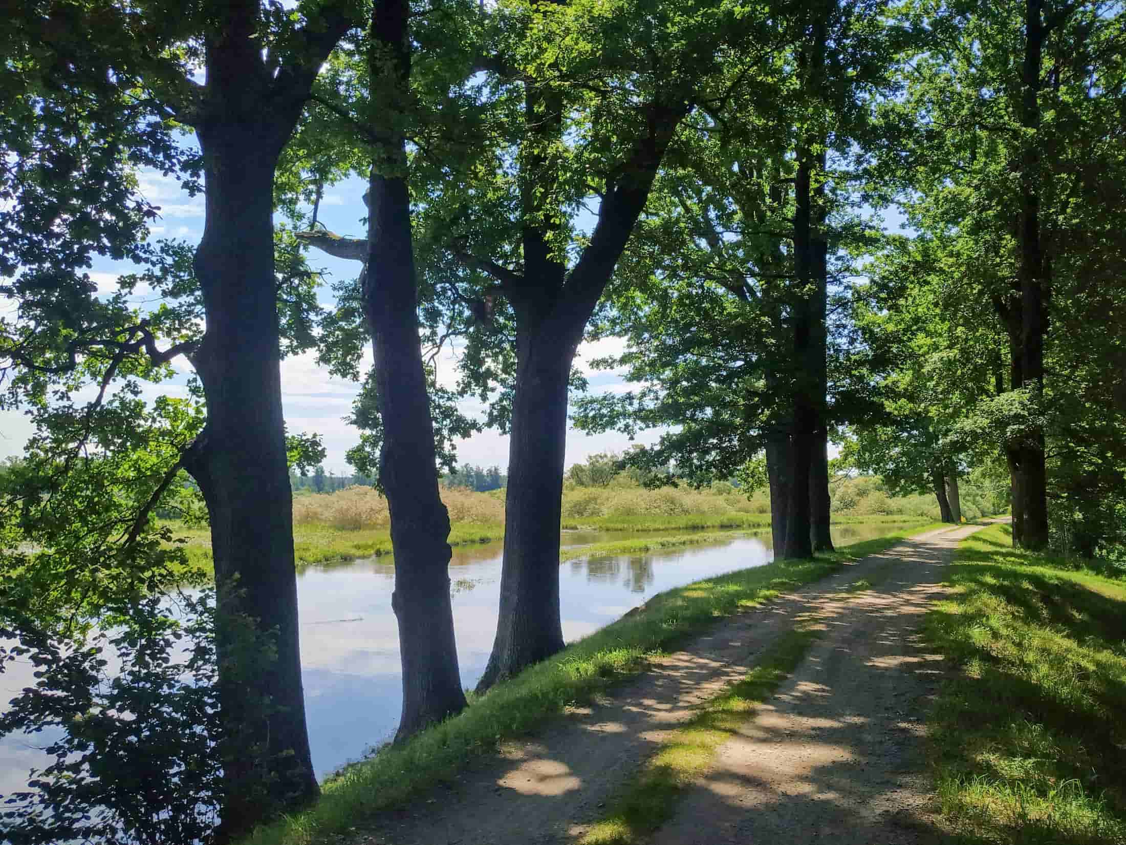 Cyklostezka kolem Nové řeky v Třeboni